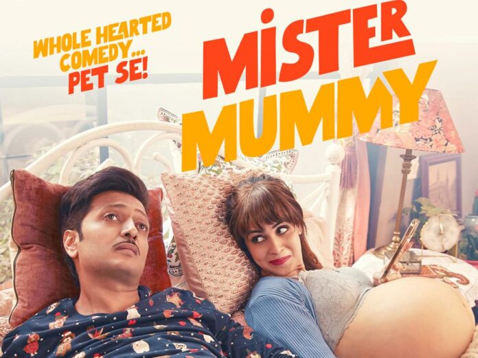 Mister Mummy box office