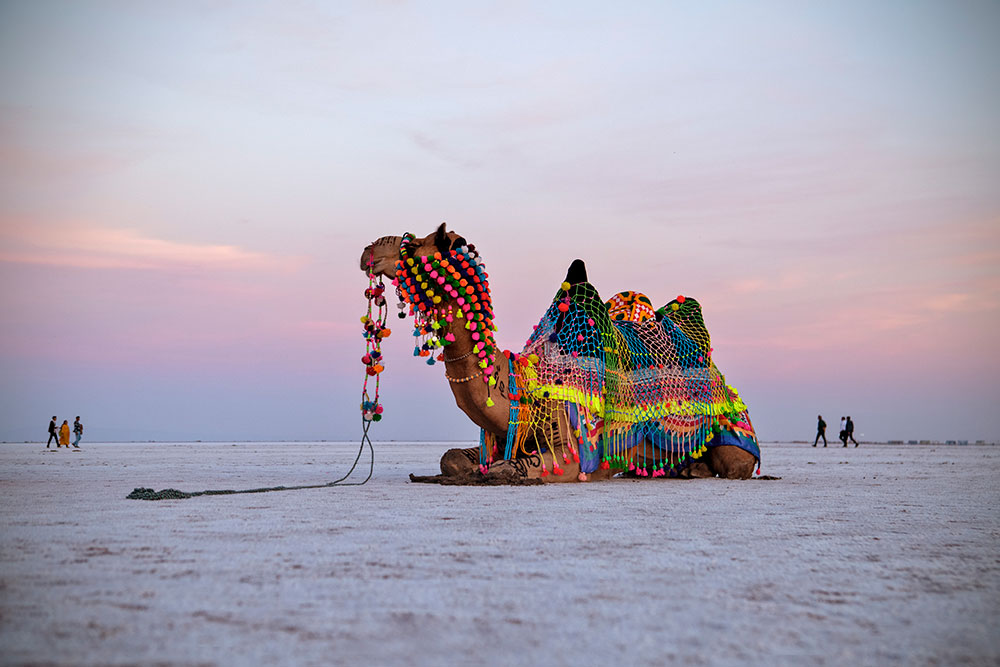 Top attractions in Kutch