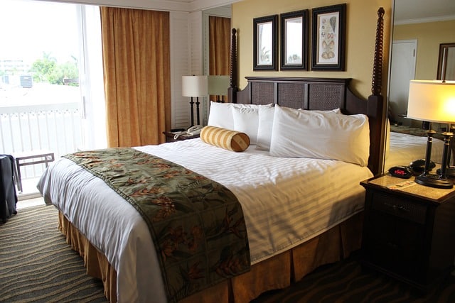 Tips to Avoid Hotel Bed Bugs When Travelling