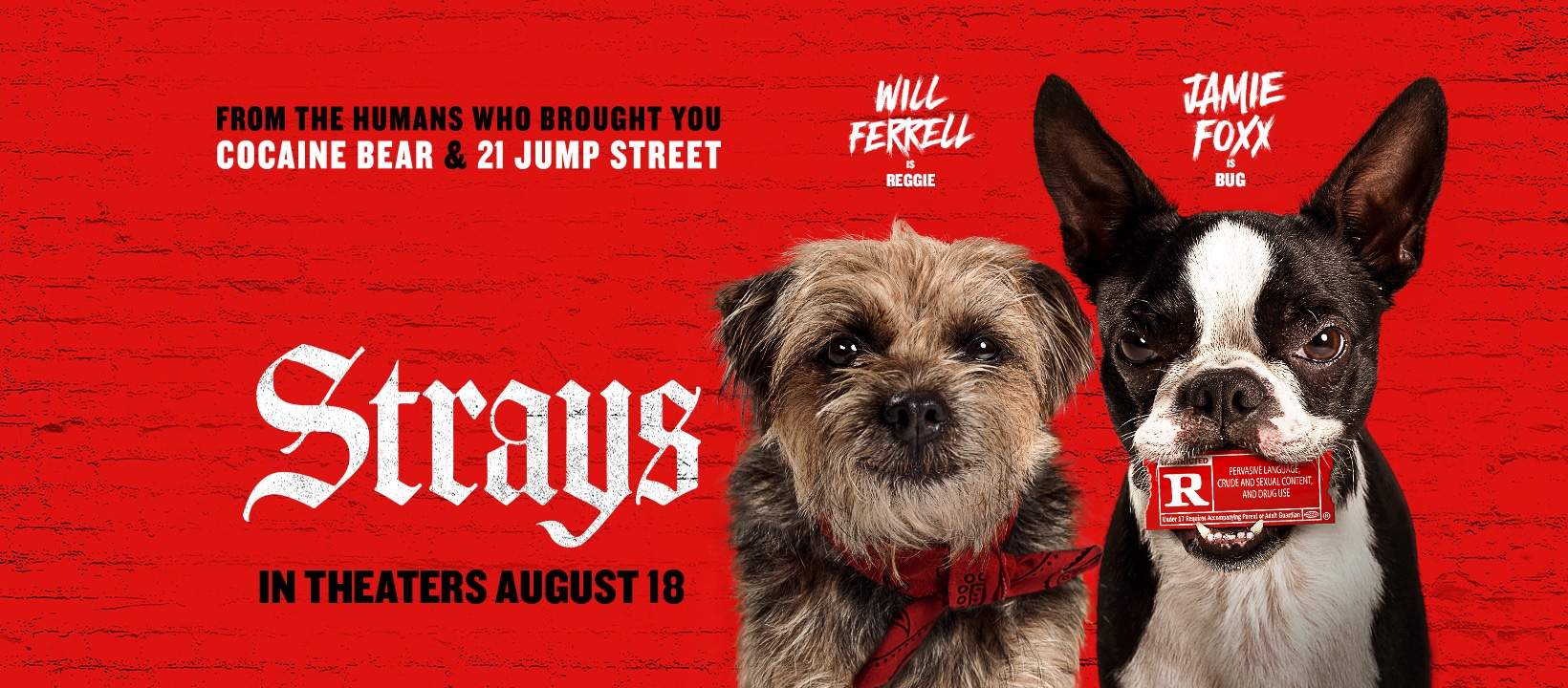 Strays Release Date 2023, Voice Cast, Story, Teaser, Trailer And More