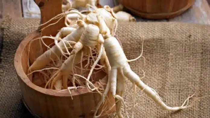 The ABCs of Korean Ginseng: How It Can Transform Your Life