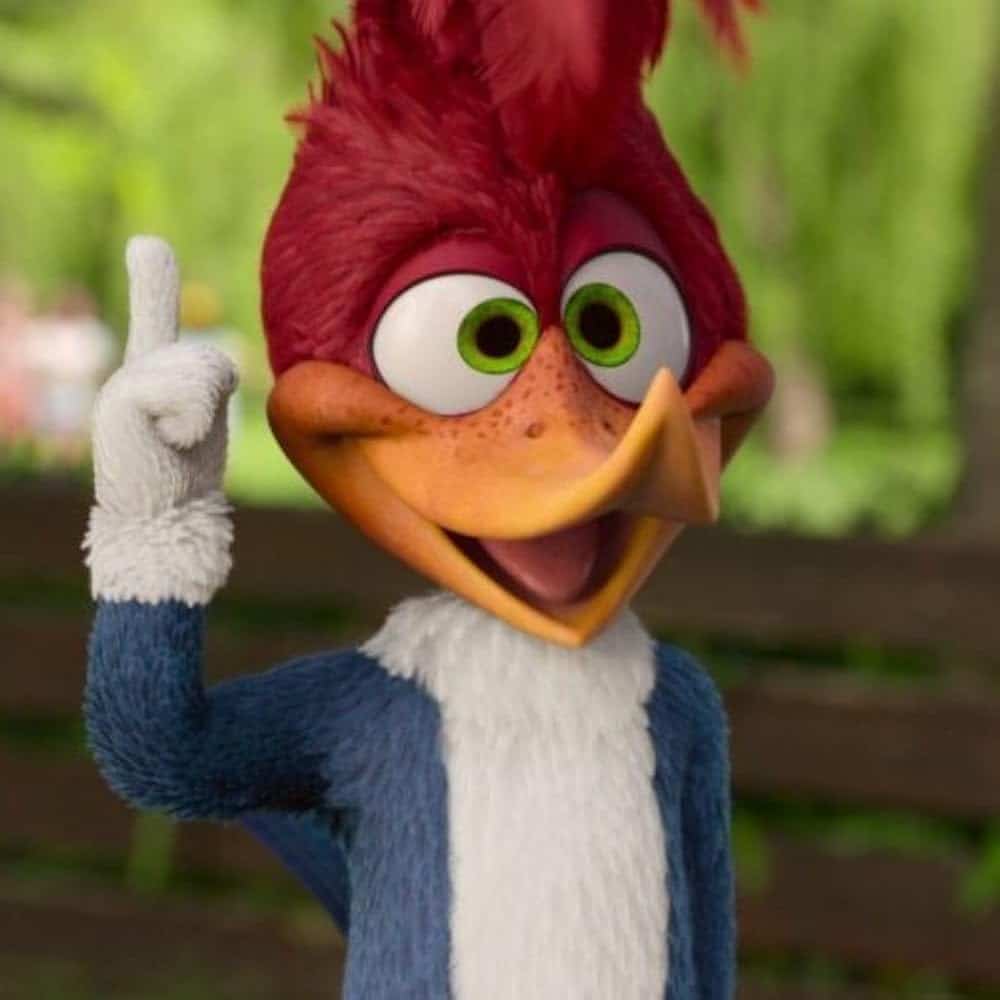 Woody Woodpecker Goes to Camp Release Date on Netflix and Plot