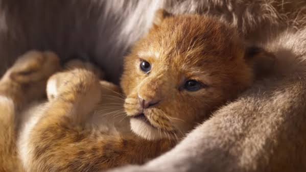 Mufasa: The Lion King Release Date, Cast, Plot