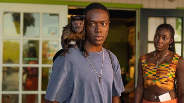 Bad Monkey Series Release Date, Cast, Plot
