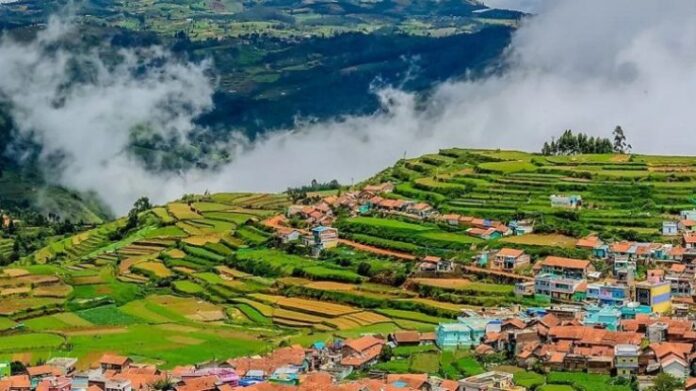 Planning A Budget Trip To Ooty? Here Is The Everything You Need To Know ...