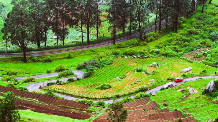 Planning a Budget Trip to Ooty? Here is the Everything You Need to Know!