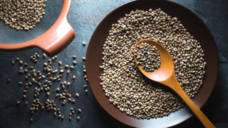 These Seeds are Full of Medicinal Properties; What are the Benefits and Different Ways to include them in your Diet