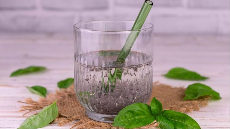 5 Amazing Benefits of Drinking Tulsi Water Every Morning