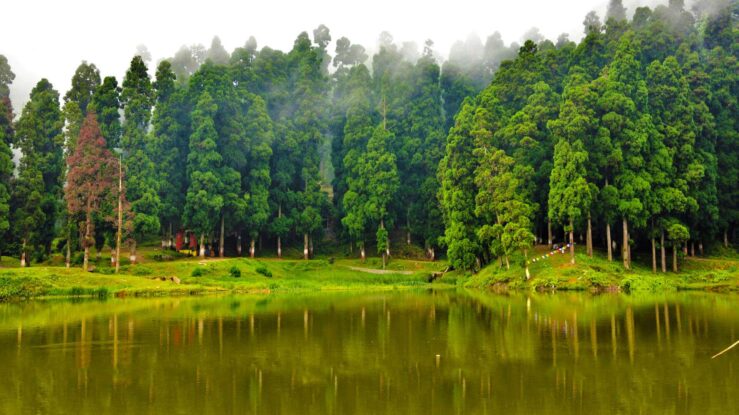 Kurseong, West Bengal