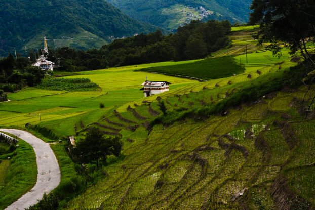 Ziro, Arunachal Pradesh