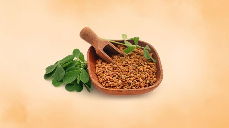 6 Health Benefits of Having Soaked Methi Seeds